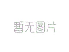 方案五